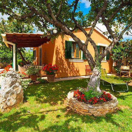 Guest House Bizjak Vinkuran Exterior photo